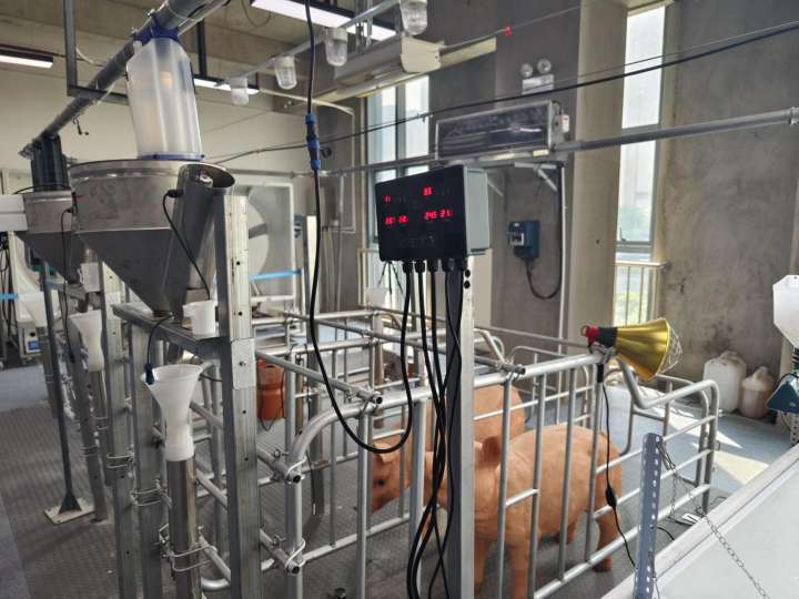 镜头与光国产成人在钱免费视频，捕捉生活中的非凡瞬间